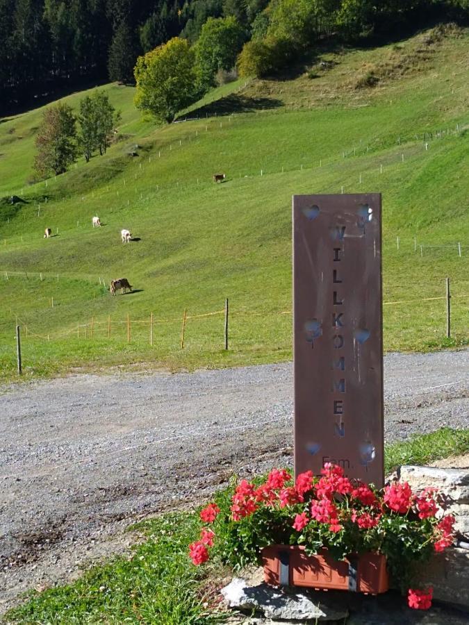 Willa Mooslechnerhof Virgen Zewnętrze zdjęcie